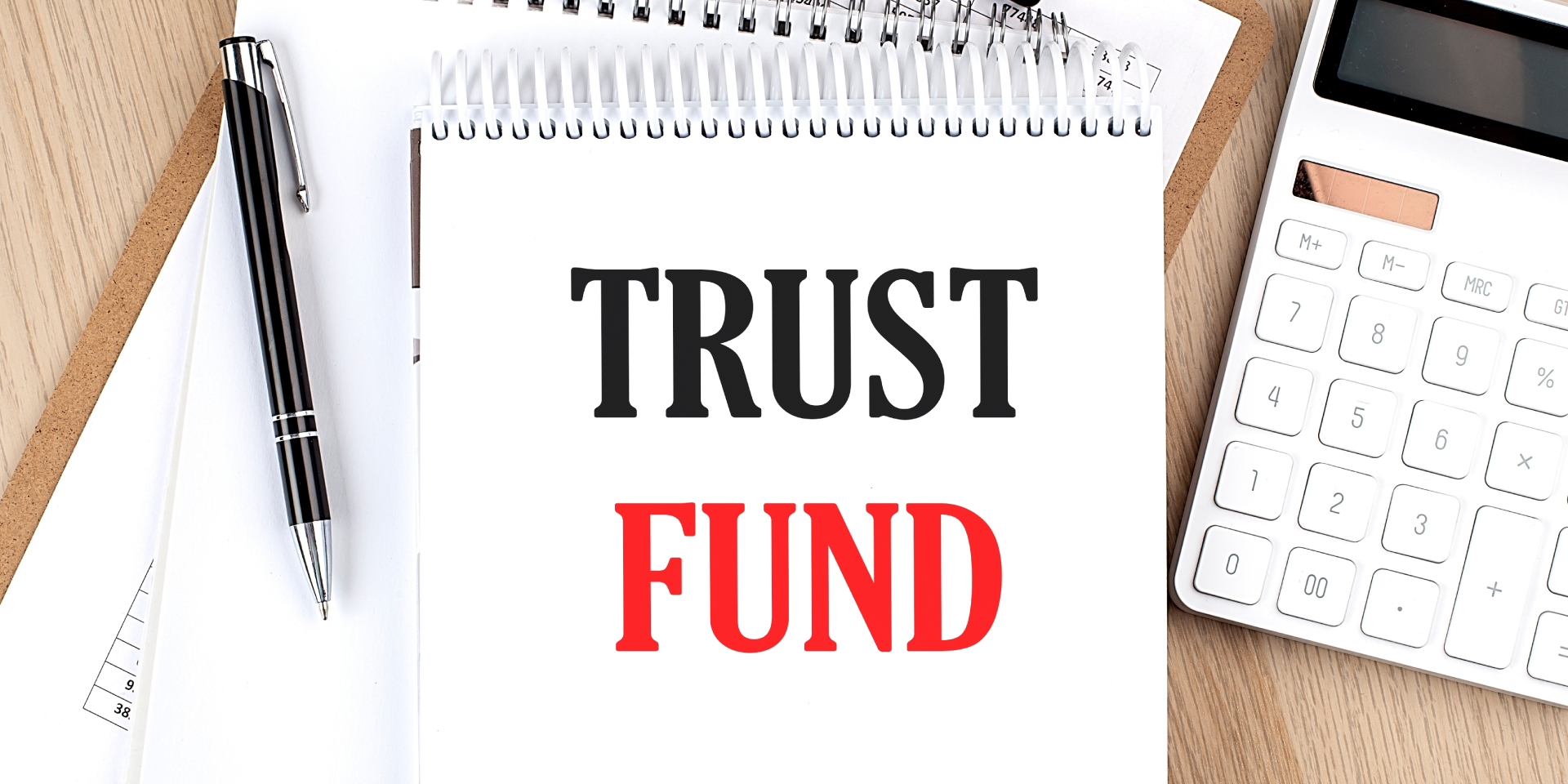 Trust Fund Meaning All You Need To Know